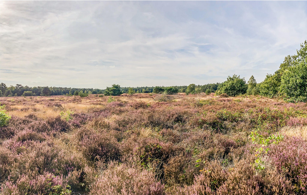 Semesterhus - Putten , Nederländerna - HGE169 19