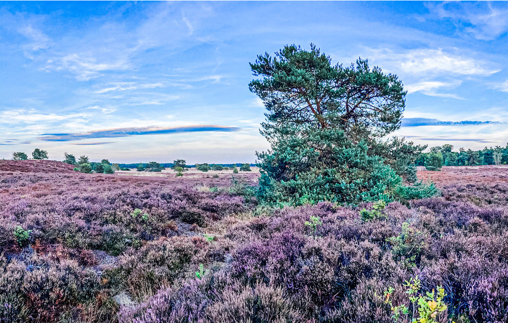Feriehuse - Putten , Holland - HGE166 27