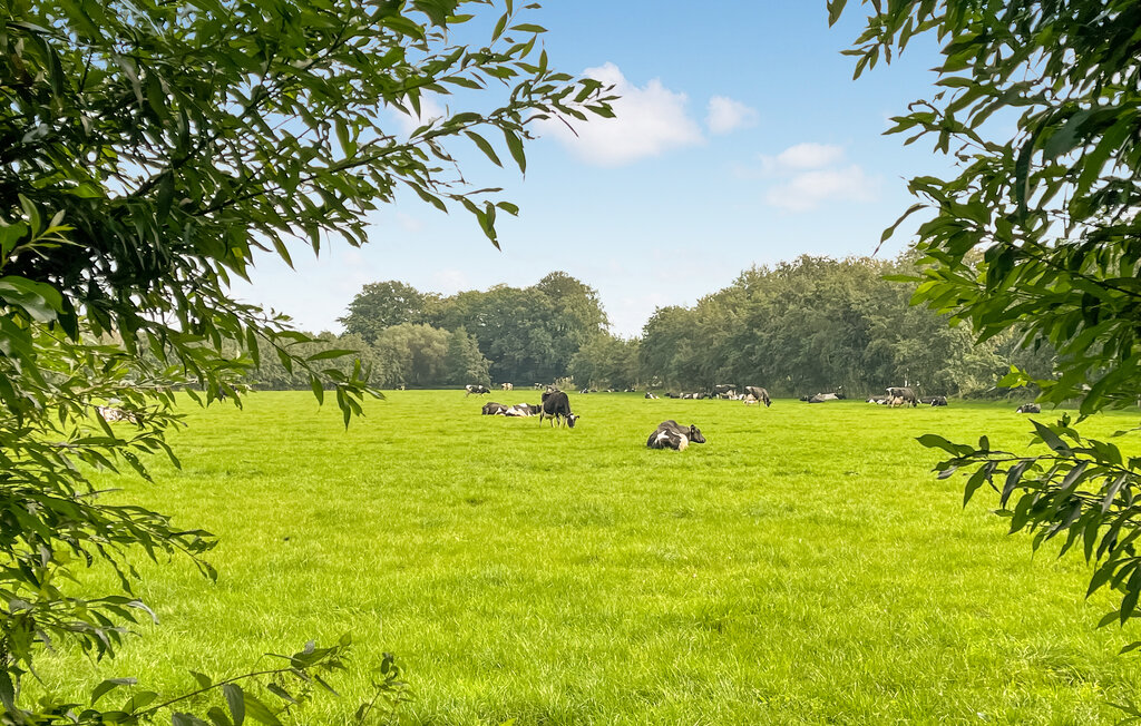 Feriehuse - Putten , Holland - HGE029 10