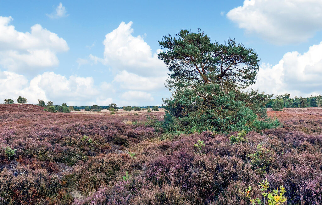 Ferienhaeuser - Voorthuizen , Niederlande - HGE501 32