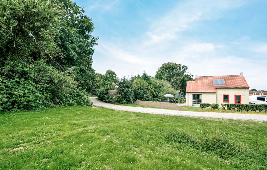 Bild 8 Bild 8