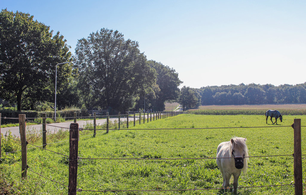 Holiday home Lunteren (HGE056)