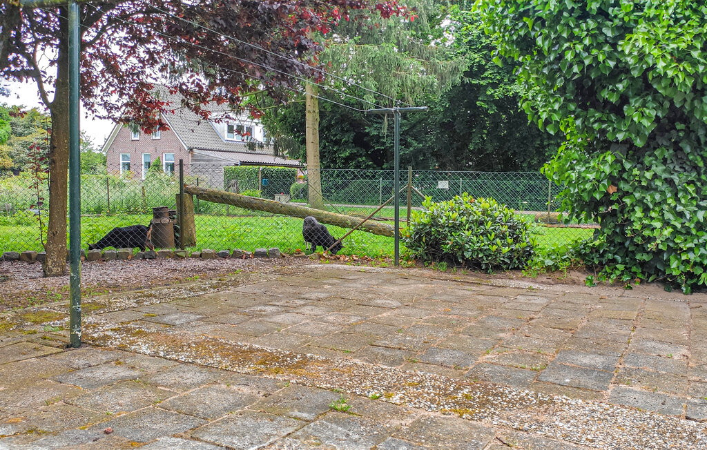 Freuen Sie sich auf eine erholsame Zeit in diesem ansprechenden Ferienhaus.

Dieses praktisch eingerichtete Ferienhaus in Kilder ist die ideale Wahl für einen erholsamen Urlaub. Das Haus ist gut ausg..
