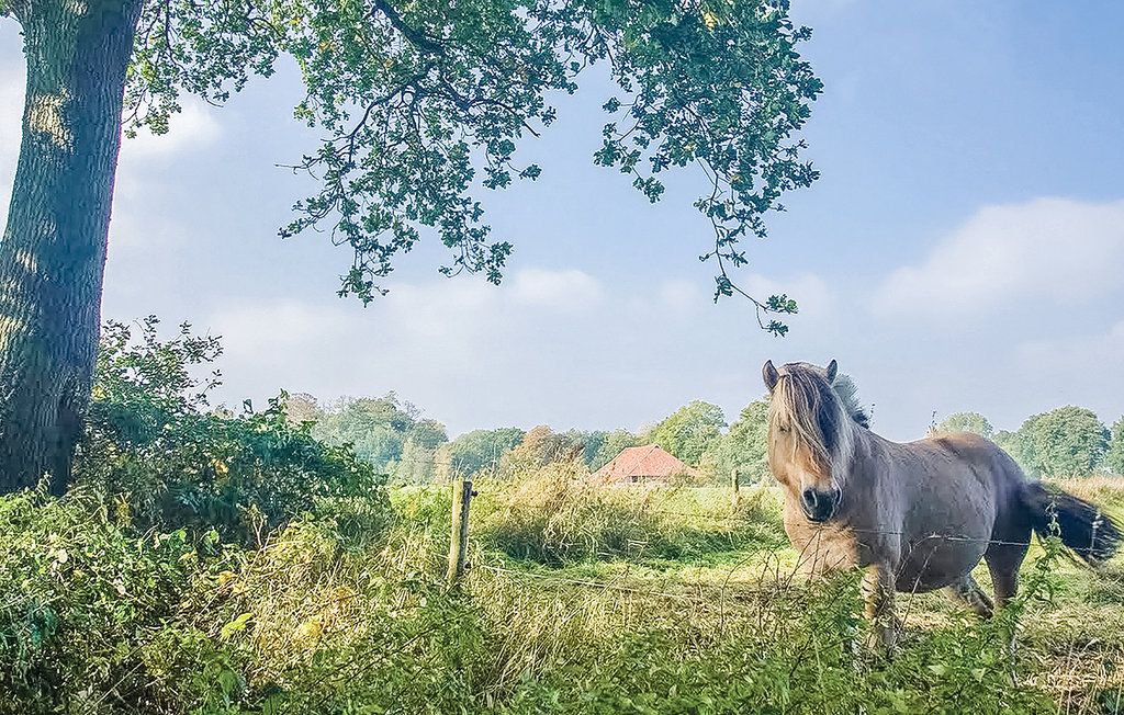 Feriehuse - Vlagtwedde , Holland - HGR032 21