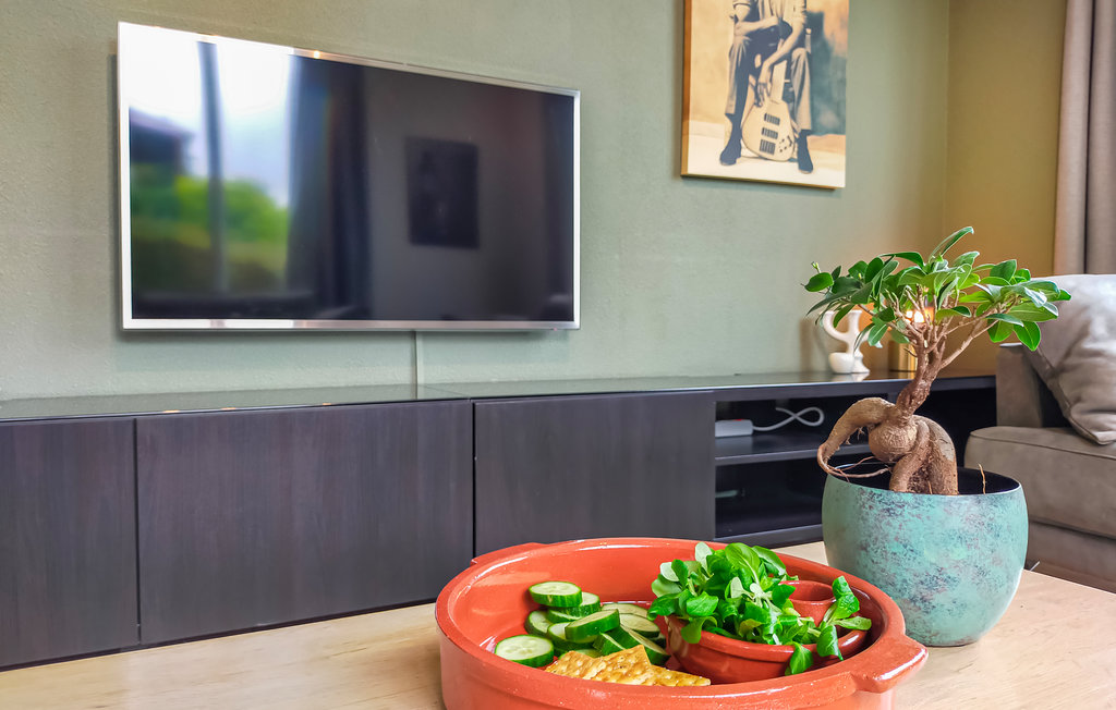 Feriehuse - Vlagtwedde , Holland - HGR043 6