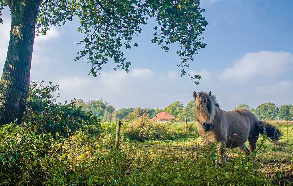 Feriehus - Vlagtwedde , Nederland - HGR037 21