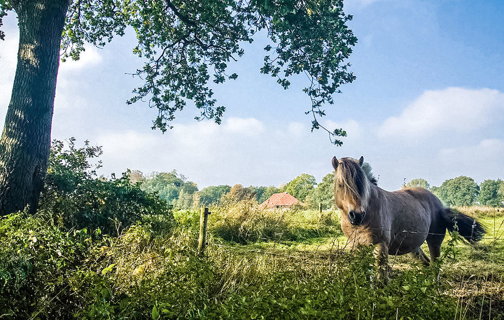 Feriehuse - Vlagtwedde , Holland - HGR044 32