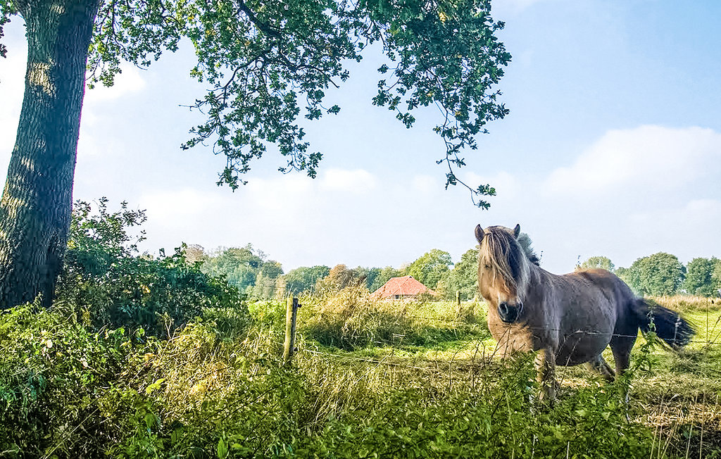 Feriehuse - Vlagtwedde , Holland - HGR045 24