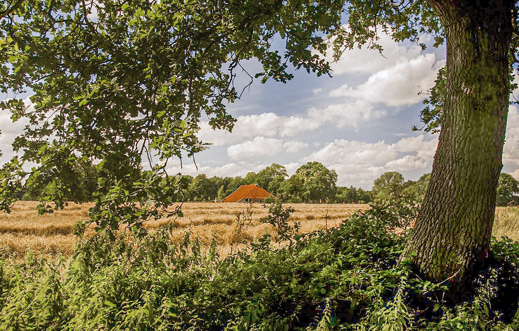 Feriehuse - Vlagtwedde , Holland - HGR044 31