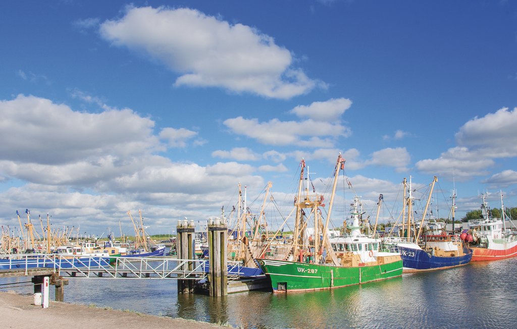 Ferienhaus - Lauwersoog , Niederlande - HGR016 18
