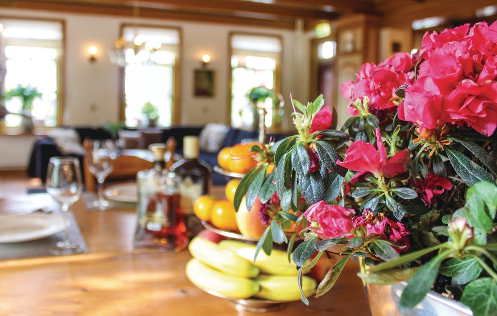 Feriehus - Visvliet , Nederland - HGR017 14