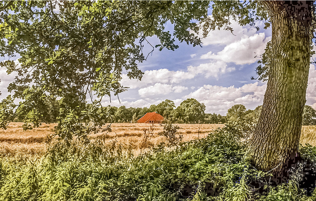 Feriehuse - Vlagtwedde , Holland - HGR060 23
