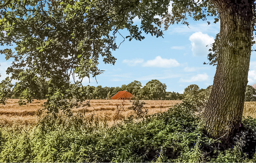 Feriehuse - Vlagtwedde , Holland - HGR075 28