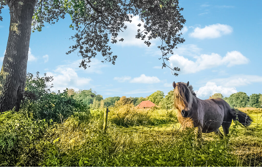 Feriehuse - Vlagtwedde , Holland - HGR075 29