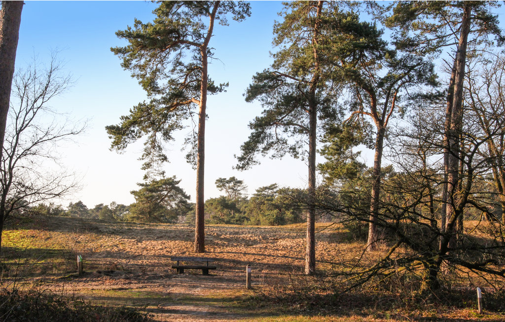 Ferienhaus - Well , Niederlande - HLI070 18