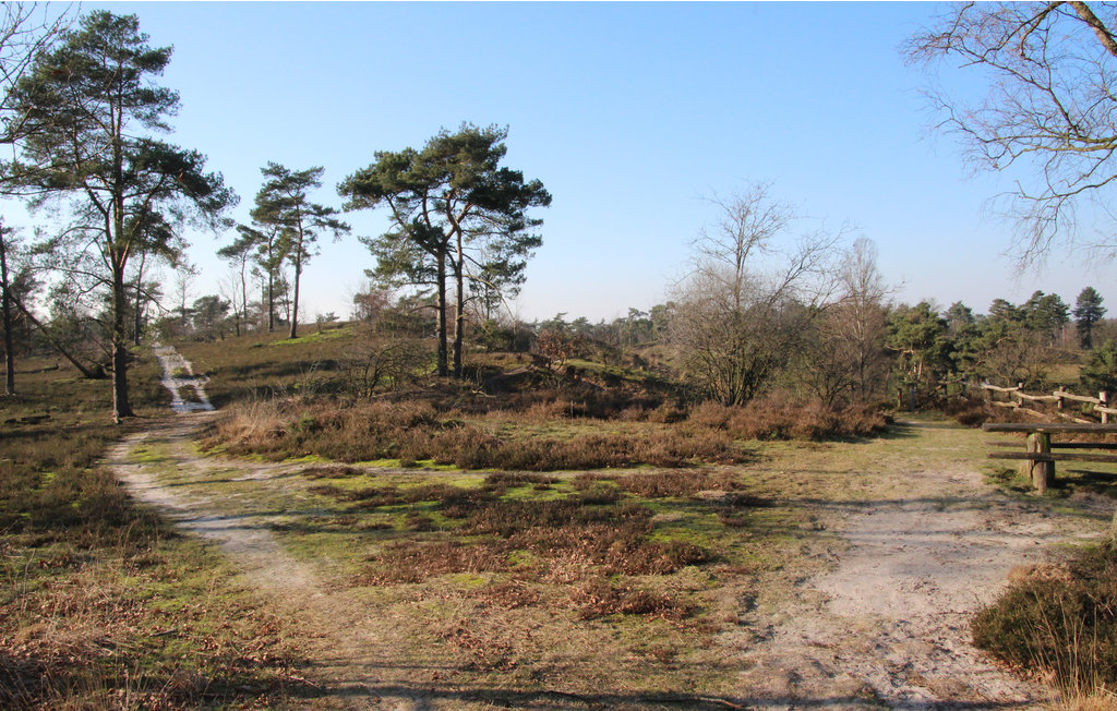 Ferienhaus - Well , Niederlande - HLI070 17