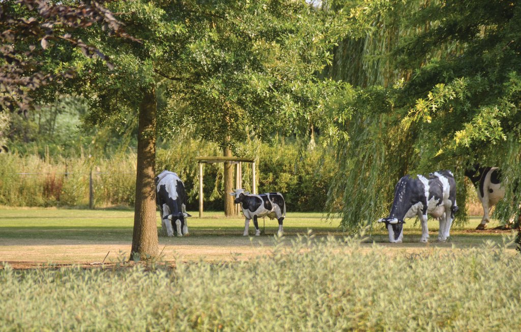 Ferienhaus - Kessel , Niederlande - HLI062 62