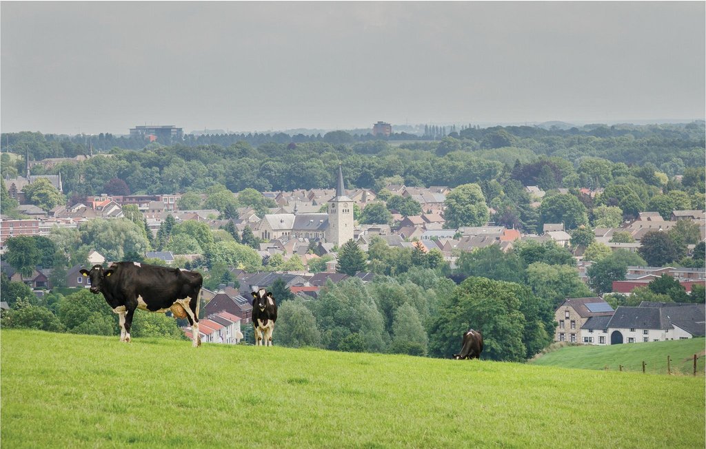 Ferieleilighet - Simpelveld , Nederland - HLI057 11
