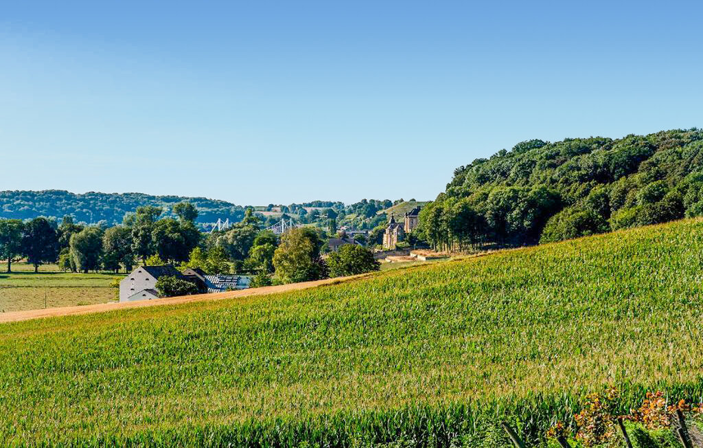 Husbåt - Maastricht , Nederland - HLI410 29