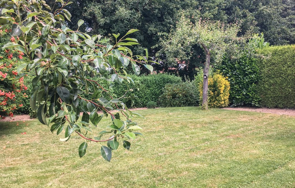 Dieses gemütlich eingerichtete Ferienhaus in Stevensweert ist sehr gut geeignet für einen abwechslungsreichen Urlaub in der wasserreichen Provinz Limburg. Der einladende Garten verfügt über einen ..