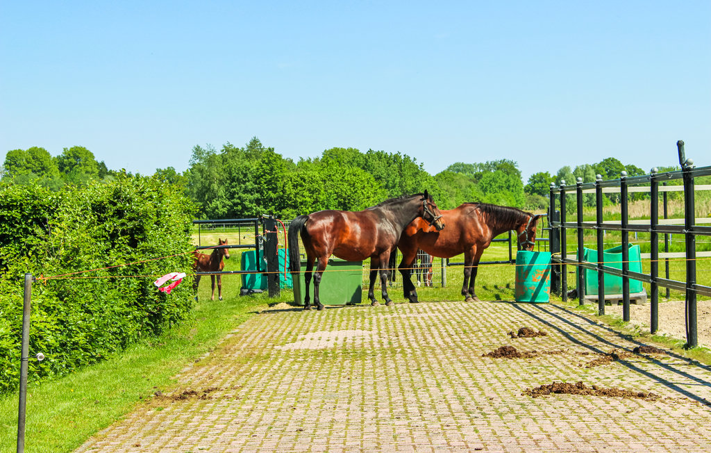Feriehus - Udenhout , Nederland - HNB085 6