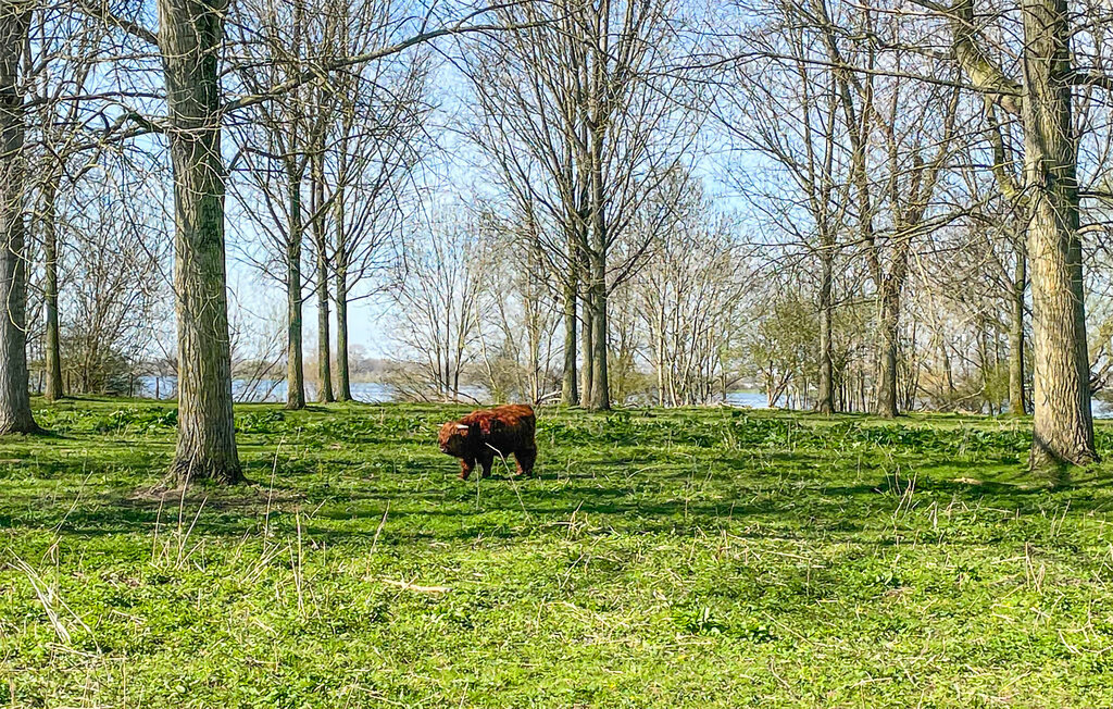 Husbåt/Hus på vatten - Lith , Nederländerna - HNB092 17