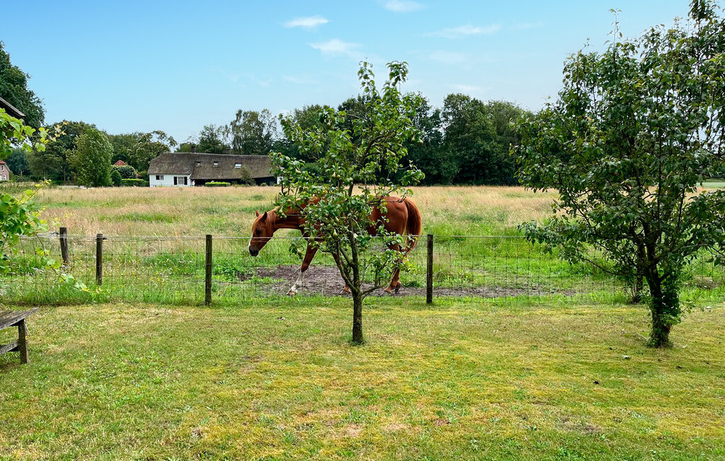 Semesterhus - De Moer , Nederländerna - HNB072 6