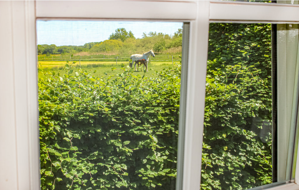 Freuen Sie sich auf einen entspannten Urlaub in diesem einladenden Ferienhaus.

Willkommen in diesem schönen Ferienhaus, das ideale Bedingungen für einen Urlaub mit 2 Personen bietet. Die Wohnfläch..