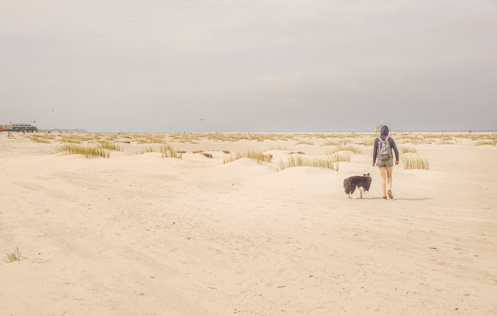 Ferienhaus - Egmond aan zee , Niederlande - HNH073 16