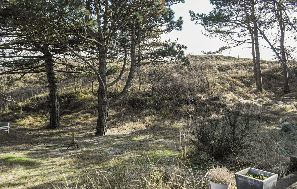 Ferienhaus - Bergen aan Zee , Niederlande - HNH578 14