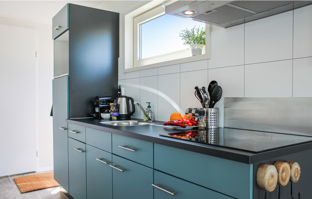 Hausboot - Aalsmeer , Niederlande - HNH223 8