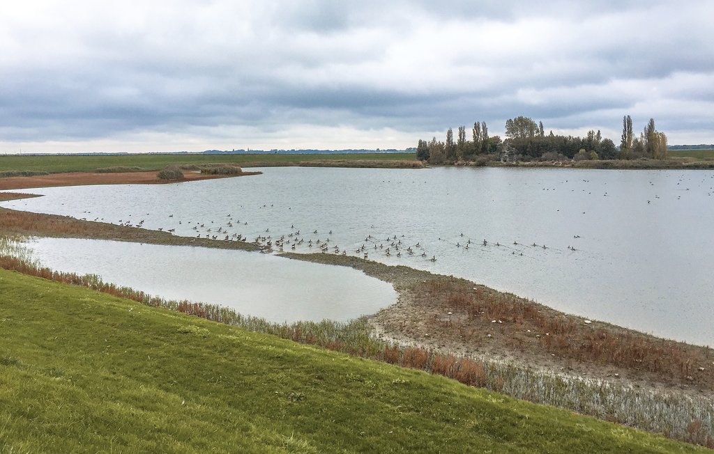 Semesterhus - Wijdenes , Nederländerna - HNH092 15