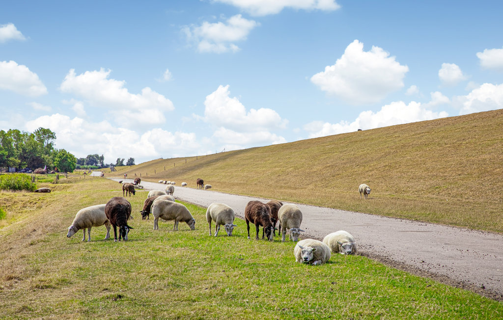 Feriehuse - Den Oever , Holland - HNH715 33