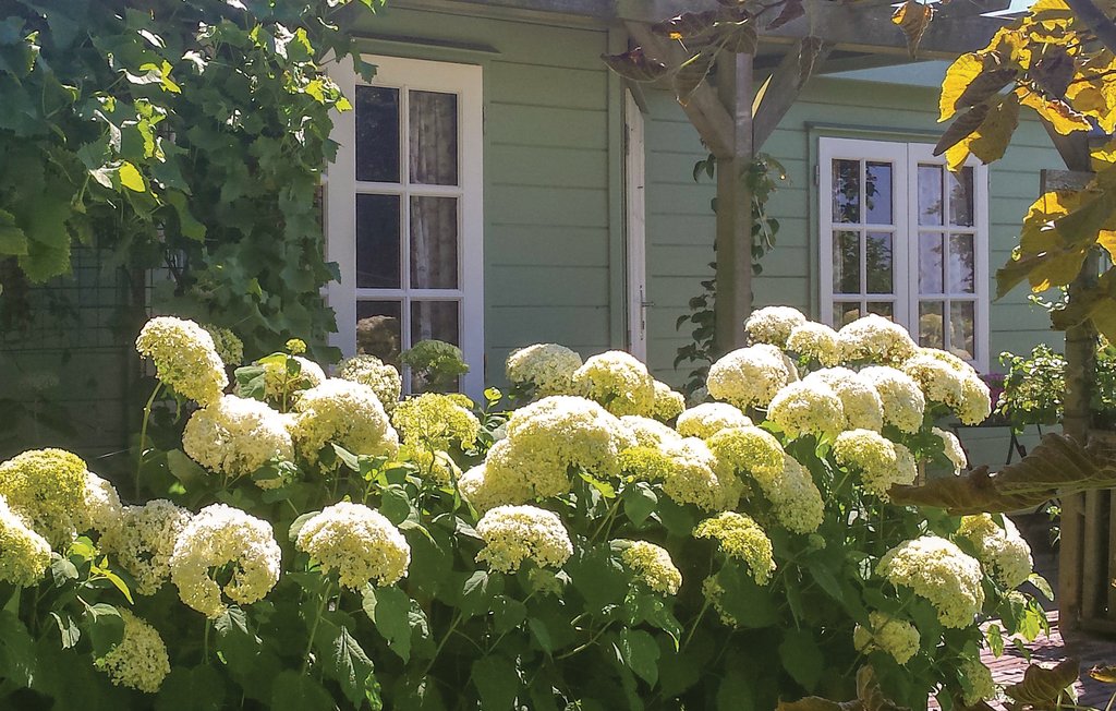 Ferienhaus - Julianadorp , Niederlande - HNH216 8