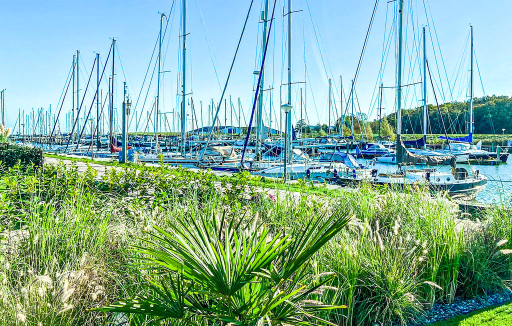 Ferienhaus - Den Oever , Niederlande - HNH682 13