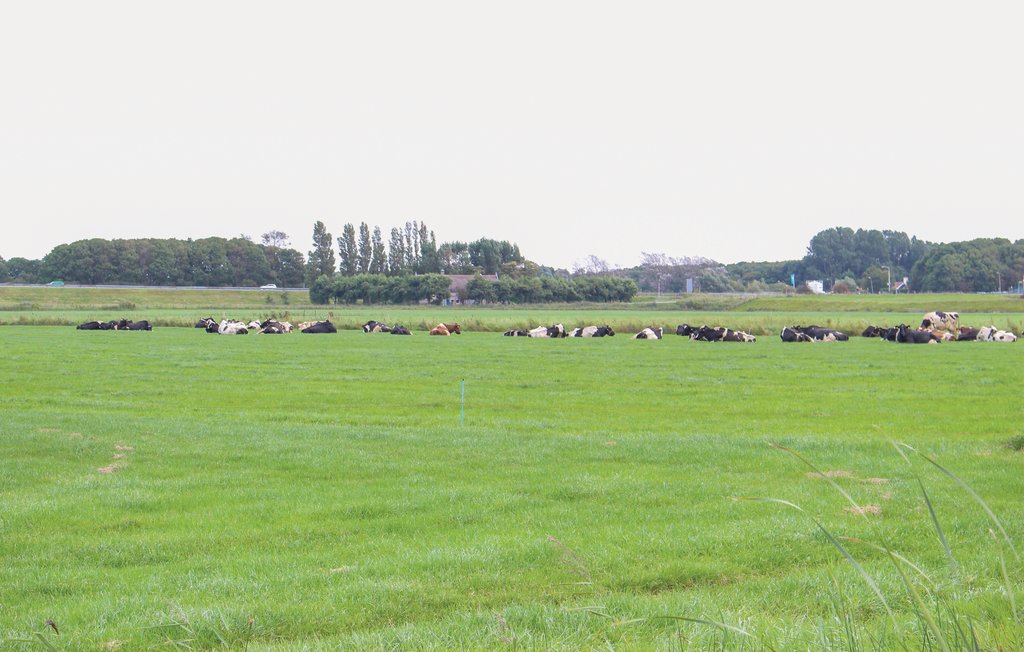 Ferienhaus - Den Oever , Niederlande - HNH006 31