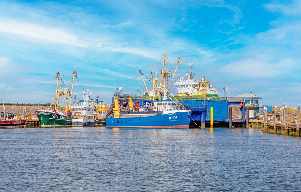 Feriehuse - Den Oever , Holland - HNH715 30