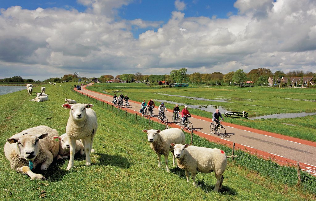 Ferienhaus - Winkel , Niederlande - HNH066 24