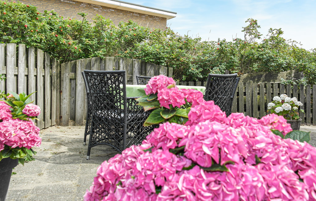 Ferienwohnung - Bergen aan Zee , Niederlande - HNH545 8