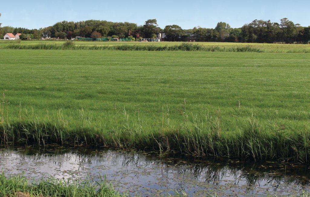 Ferienhaus - Den Oever , Niederlande - HNH006 30