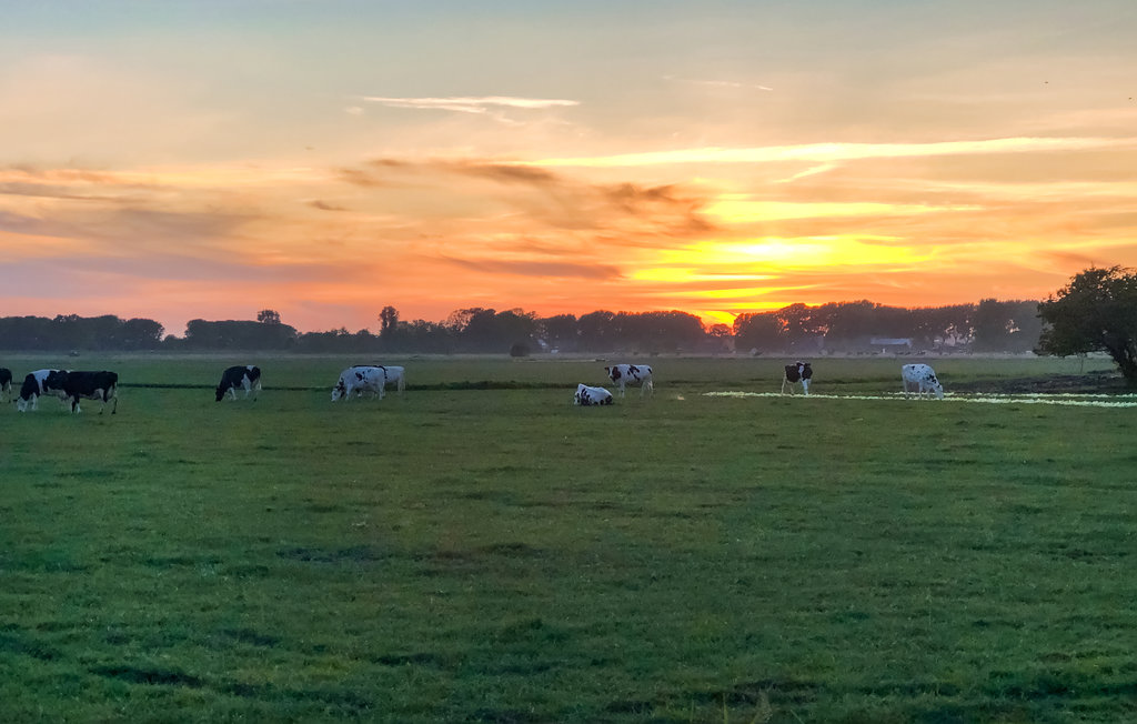 Semesterhus - Warmenhuizen , Nederländerna - HNH694 20