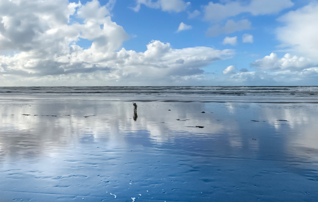 Feriehuse - Bergen aan Zee , Holland - HNH530 24