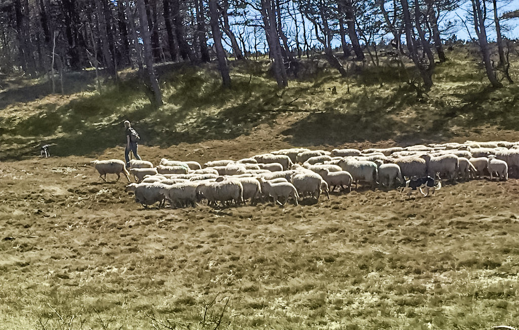 Feriehuse - Bergen aan Zee , Holland - HNH530 26
