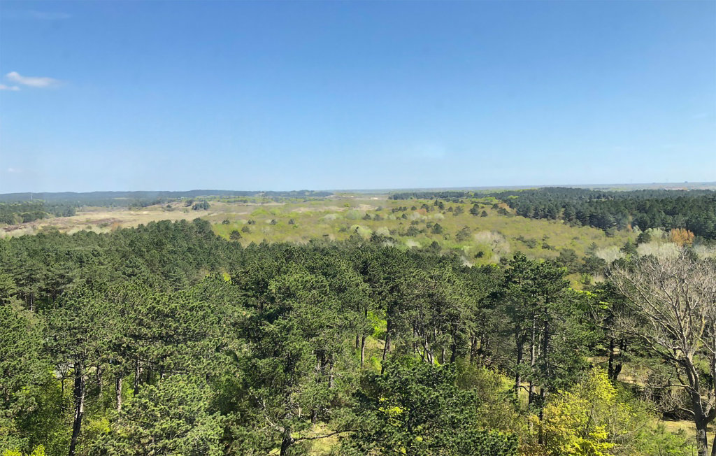 Feriehuse - Bergen aan Zee , Holland - HNH530 25