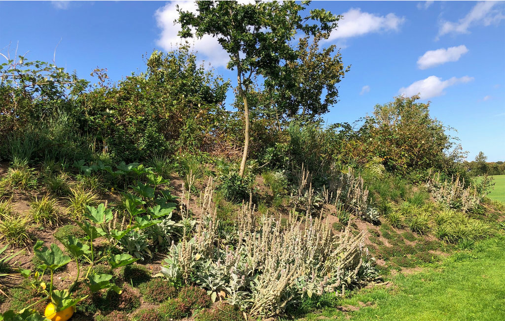 Ferienhaus - Den Oever , Niederlande - HNH710 10