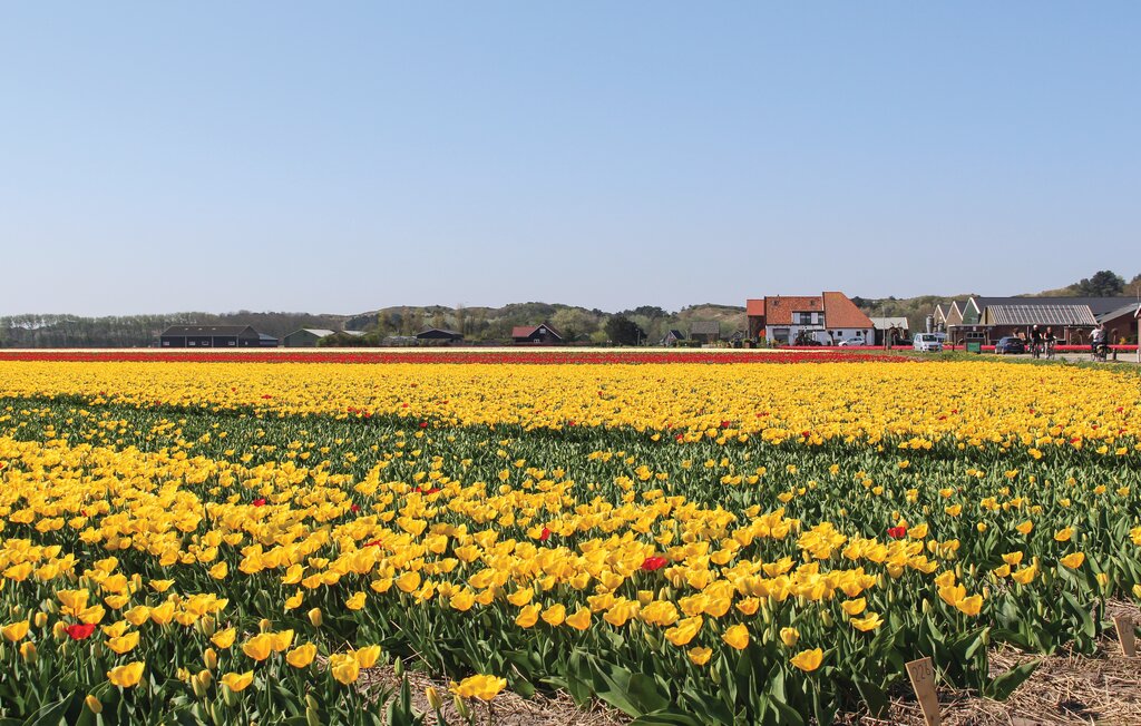 Domy wakacyjne - Uitgeest , Holandia - HNH247 26