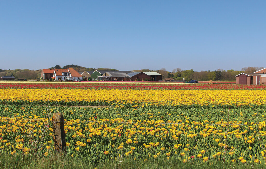 łódź mieszkalna - Uitgeest , Holandia - HNH245 19
