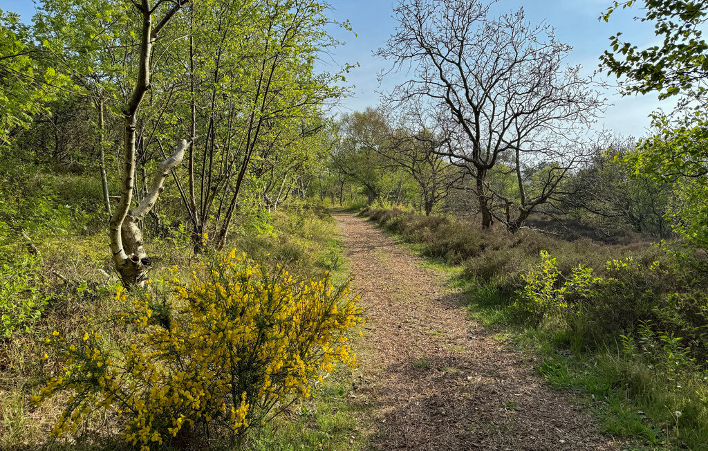 Feriehus - Groet , Nederland - HNH921 11
