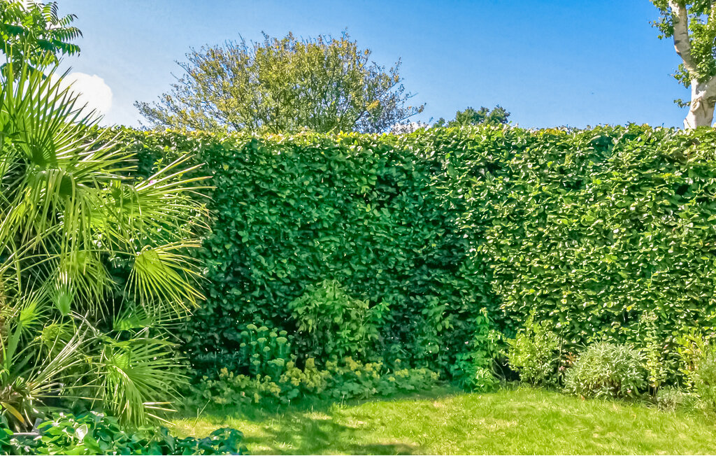 Semesterhus - Bergen , Nederländerna - HNH570 11