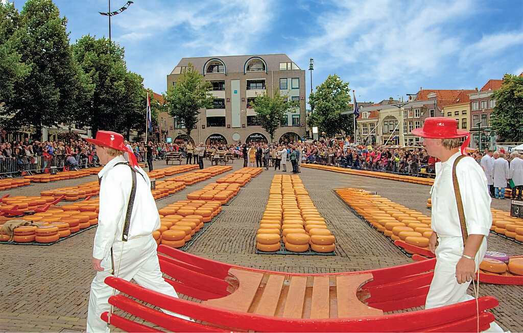 Domy wakacyjne - Egmond aan Zee , Holandia - HNH243 29